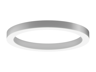 Lamp 6063 Ring (RAL/830mm/LT70) – case only