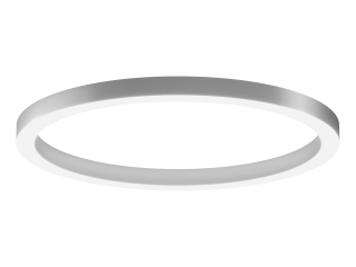 Lamp 6063 Ring(RAL/1250mm/LT70) – case only