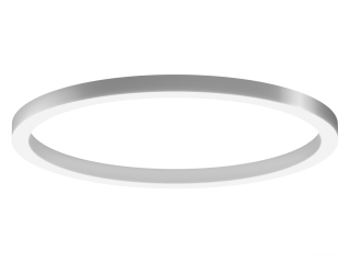 Lamp 6063 Ring (RAL/1400mm/LT70) – case only