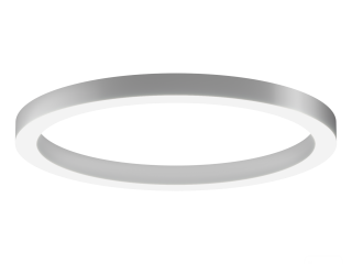 Lamp 6063 Ring (RAL/1050mm/LT70) – case only