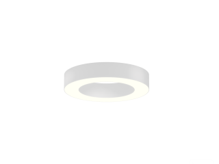 Lamp 6063 Ring (RAL9003/425mm/LT70 — 4K/40W)