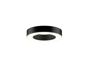 Lamp 6063 Ring (RAL9005/425mm/LT70 — 4K/40W)